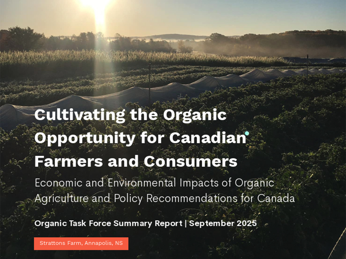 A sun sets behind a crop on the cover of a new organic report entitled, 