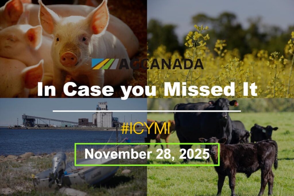 in case you missed it title card