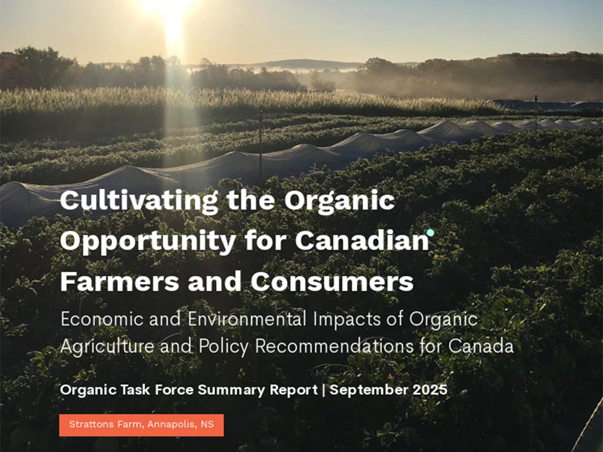 A sun sets behind a crop on the cover of a new organic report entitled, "Cultivating the organic opportunity for Canadian farmers and consumers."