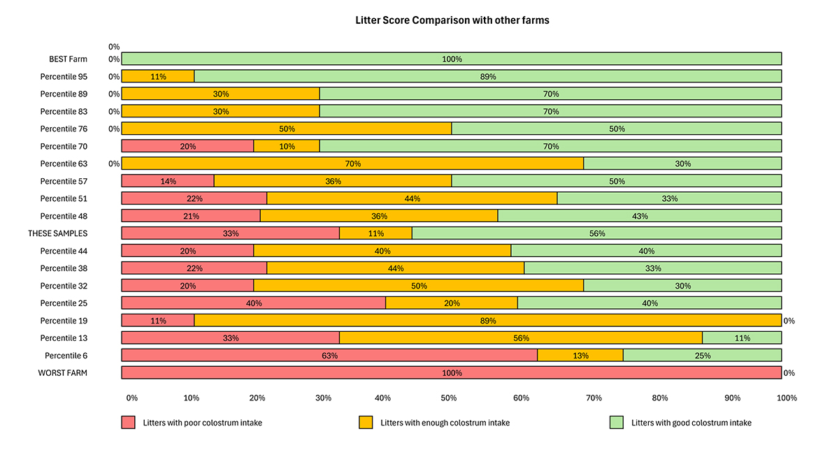 A bar graph entitled, "Litter score comparison with other farms," showing that the best farms insure their piglets get good colostrum intake and have the best outcomes.