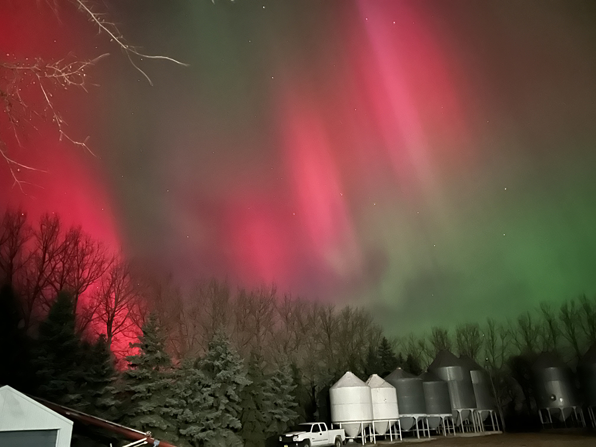 Brilliant aurora paint the sky in shades of red and green above some grain bins on hopper bottoms north of Rosetown, Saskatchewan November 11, 2025.