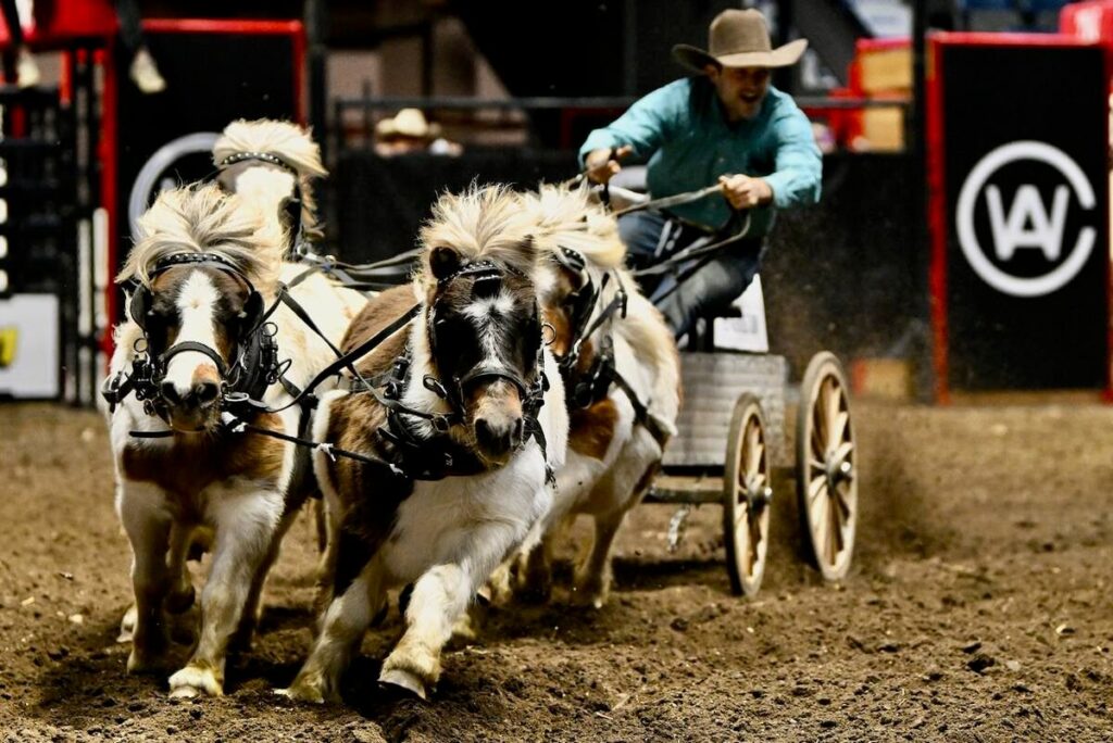 Numerous horse events are underway at Agribiton 2025. Courtesy of CWA by Peter Scoular Photography & Crossgates Photography.