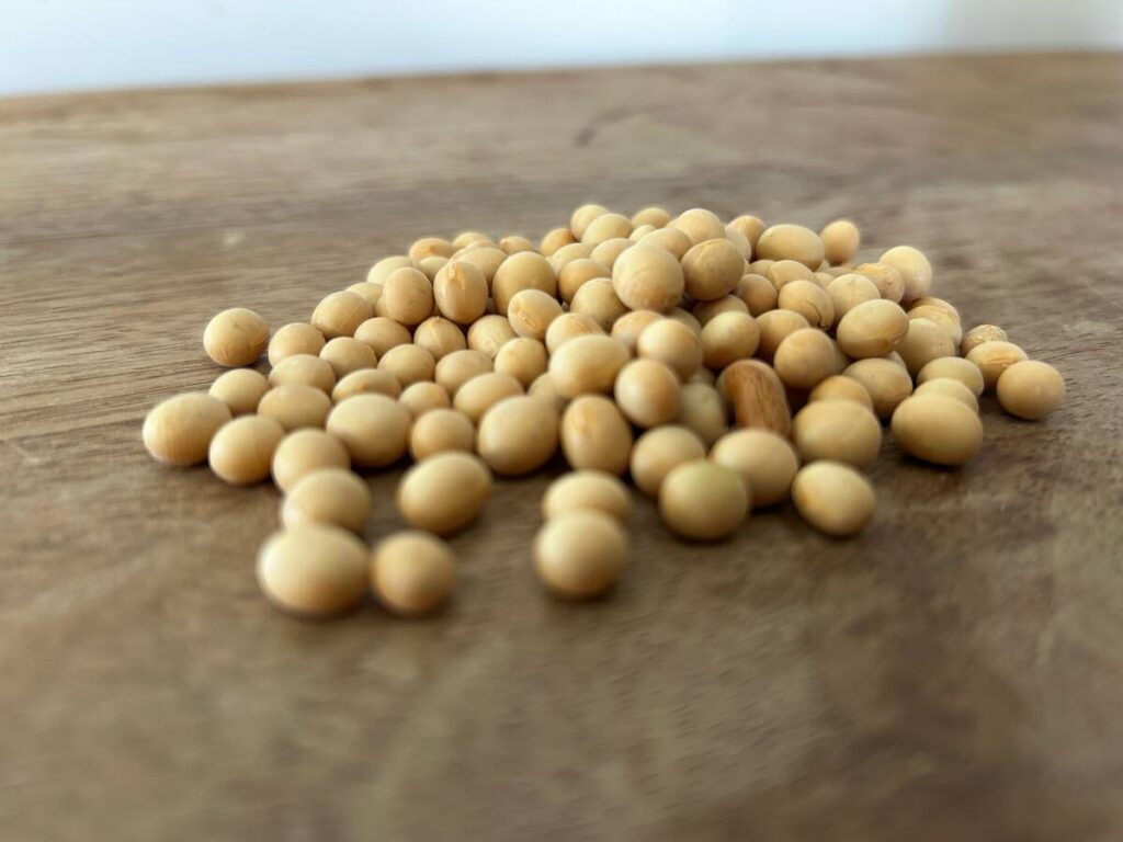 U.S. grains: soybeans firm ahead of USDA data