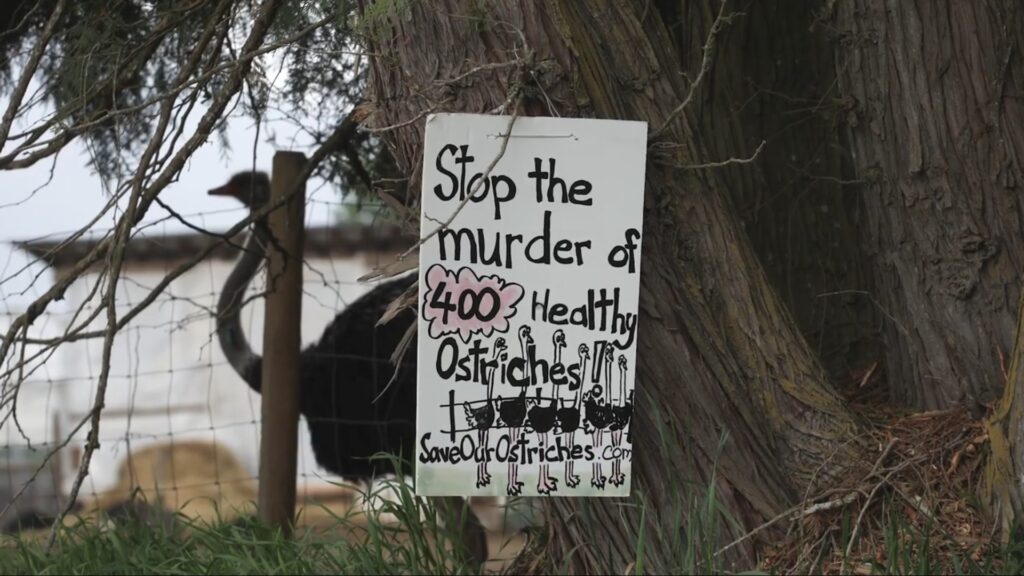 A fence sign urging to stop the murder of 400,000 animals, highlighting a call for animal rights and protection.