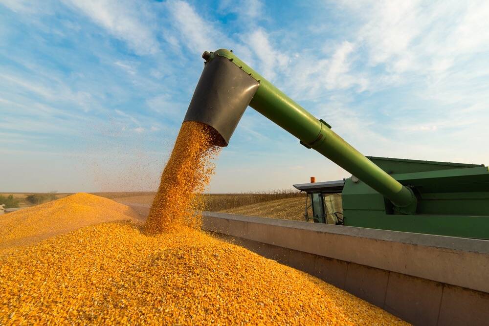 Wet grain, Russian attacks on railways hit Ukrainian corn exports, union says