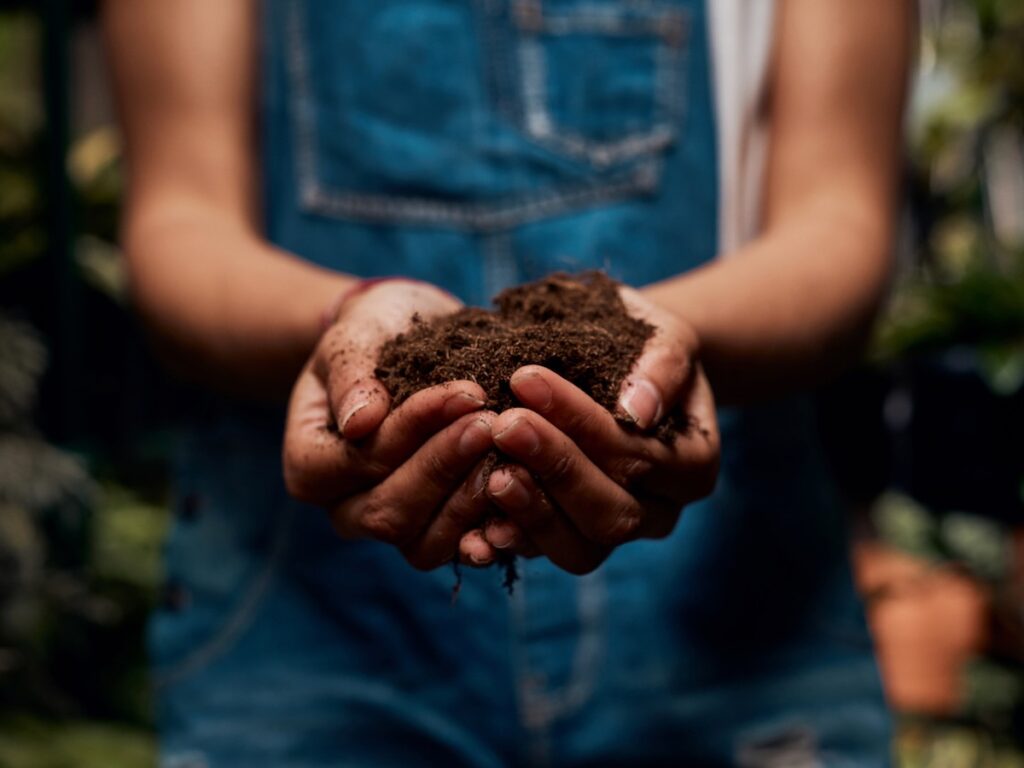 hands holding organic compost. Hiraman/E+/Getty Images