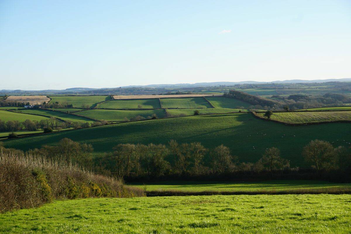 Rural Devon, southwest England, January 2024. Photo: Matt McIntosh