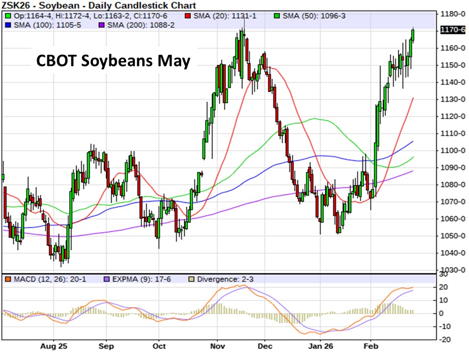 AM Market Report – February 26, 2026