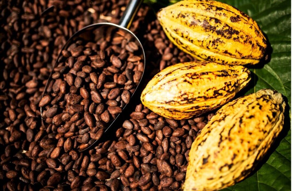 Bia Analytical launches Cocoa Consortium to strengthen fraud detection and transparency