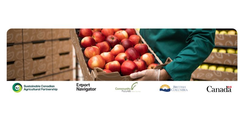 Build a Market Entry Strategy as an Agrifood Business