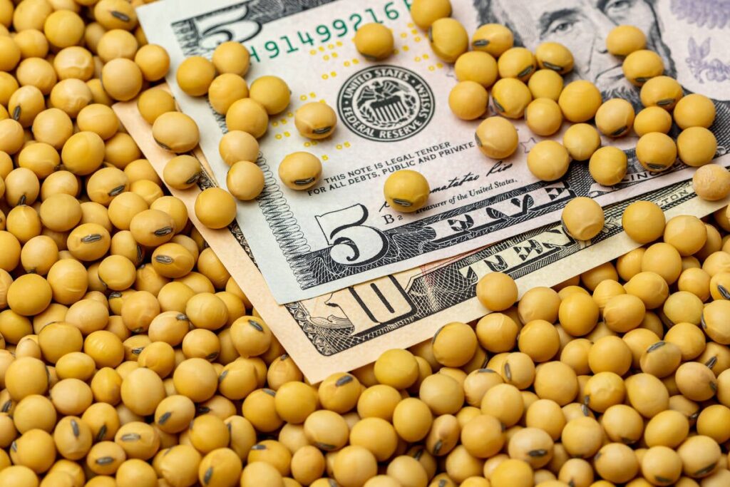 CBOT Weekly: Several unknowns that could affect commodity prices
