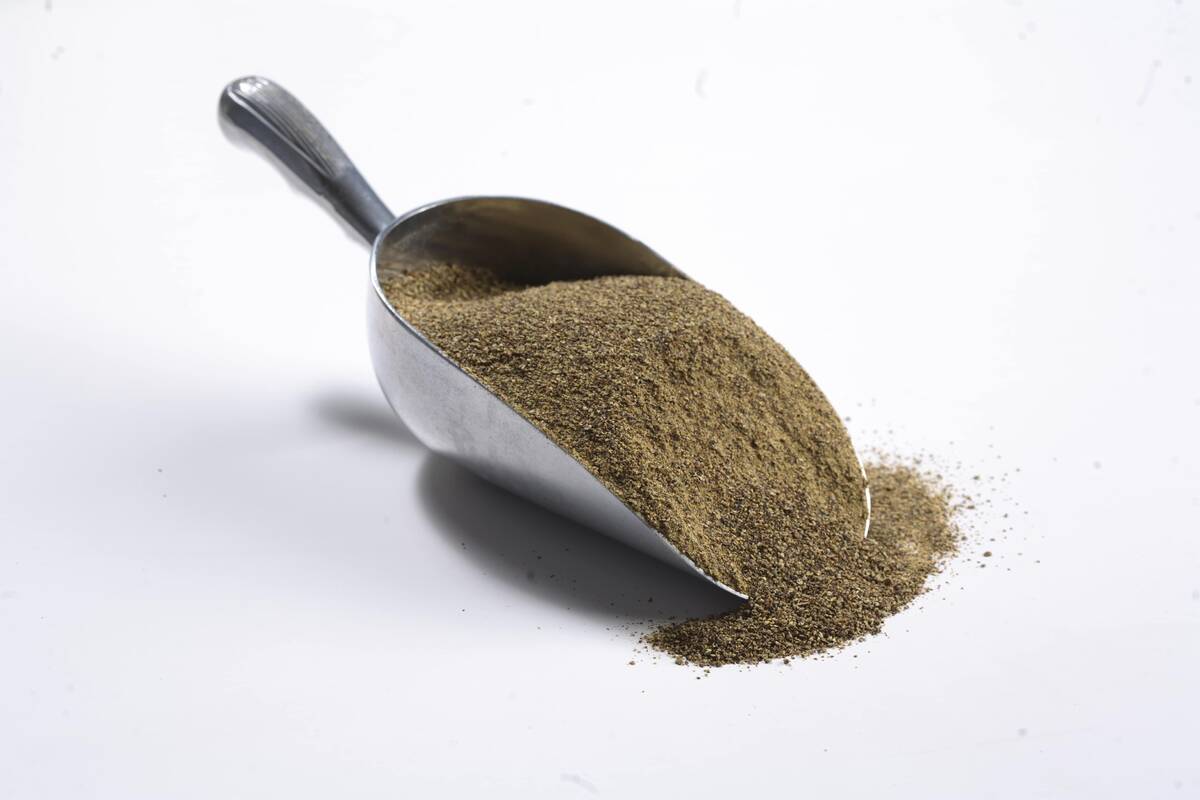 For now, canola meal from Canadian crushing plants is mostly sold to America's dairy industry and exported to China | Canola Council of Canada image