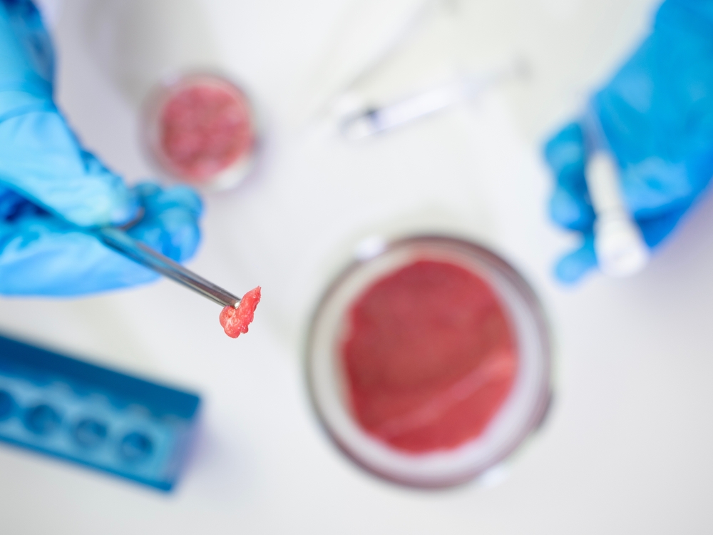 Cultivated beef shows mixed allergy risks to conventional meat