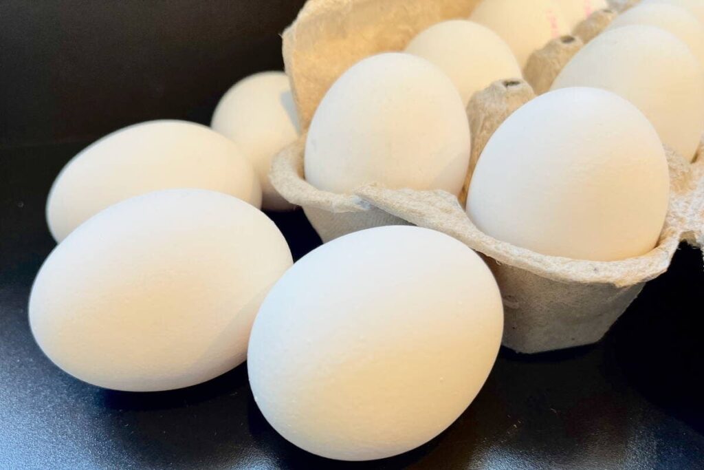 Egg Farmers of Canada, University of Guelph appoint new poultry welfare research chair