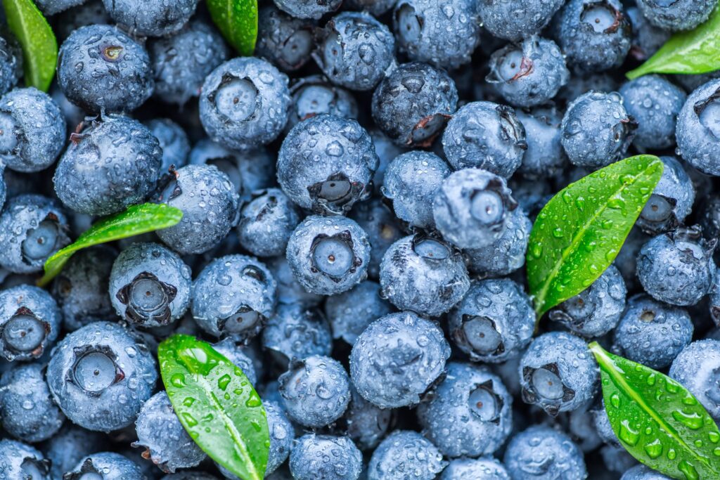 FDA upgrades frozen blueberries recall to Class I over listeria concern