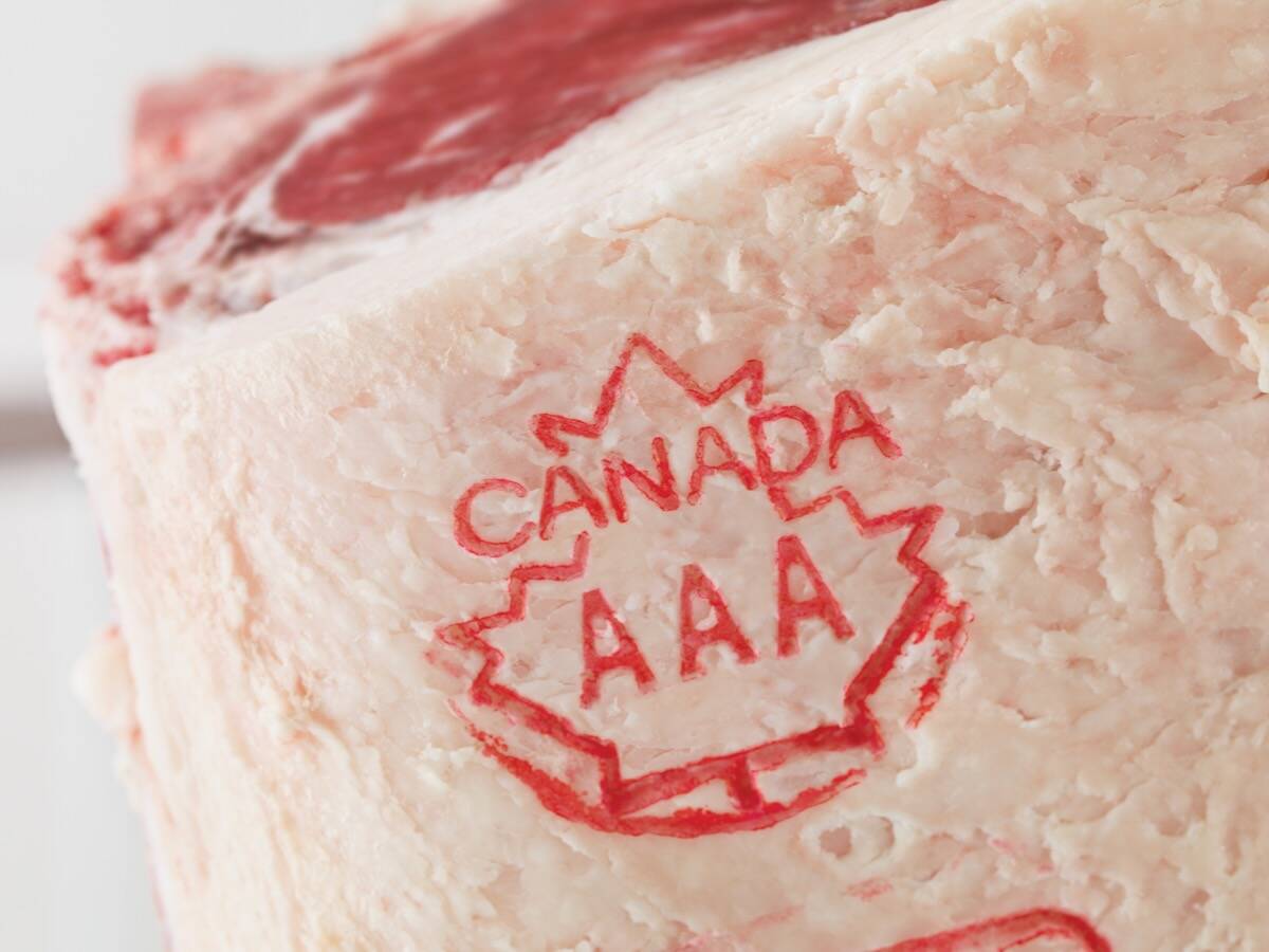 Canada AAA stamp on beef. Photo: Canada Beef Inc.