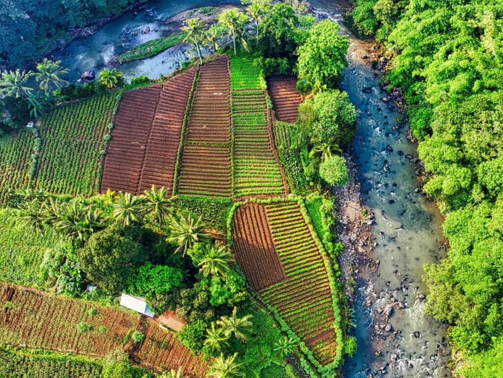 IUCN and CGIAR unite to accelerate nature-positive global food systems transformation