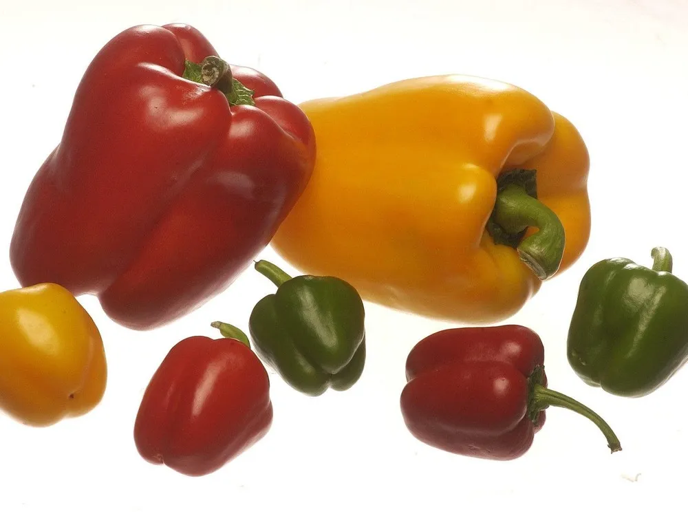 Bell peppers are the starting point for an easy weeknight meal. 