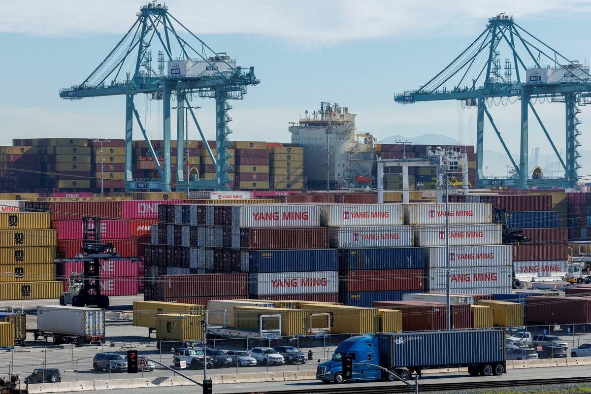 Chinese shipping containers lie stacked at the Port of Los Angeles in Los Angeles,California, U.S., January 14, 2026. Photo: REUTERS/Mike Blake/File Photo