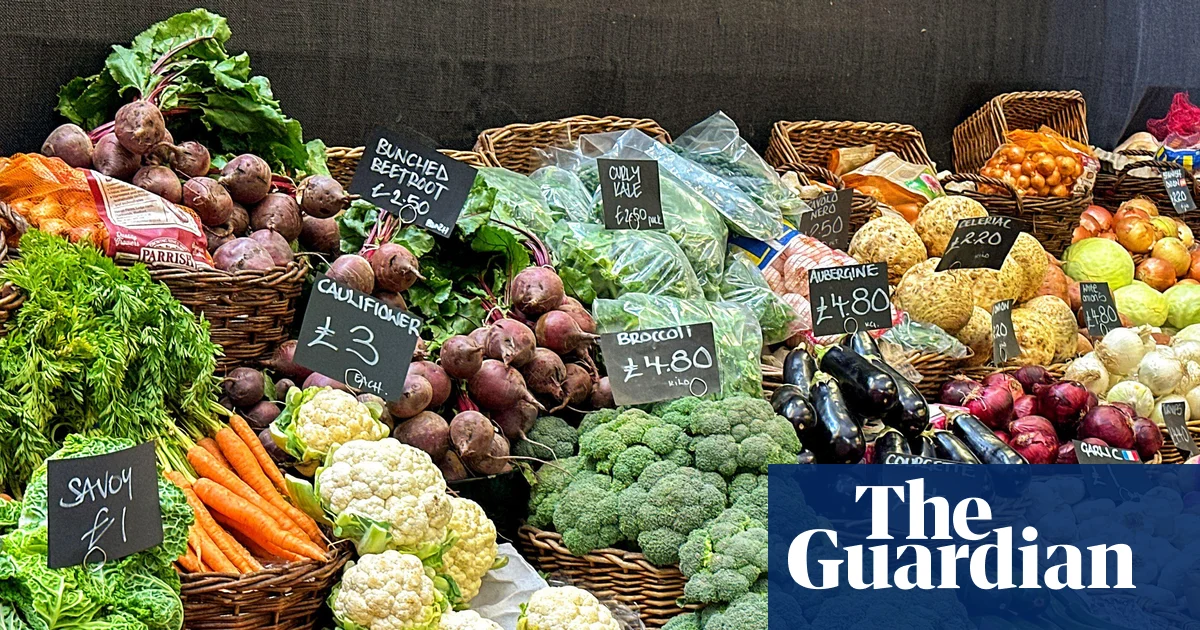 ‘Quality really matters’: why the organic food market is booming again | Organics