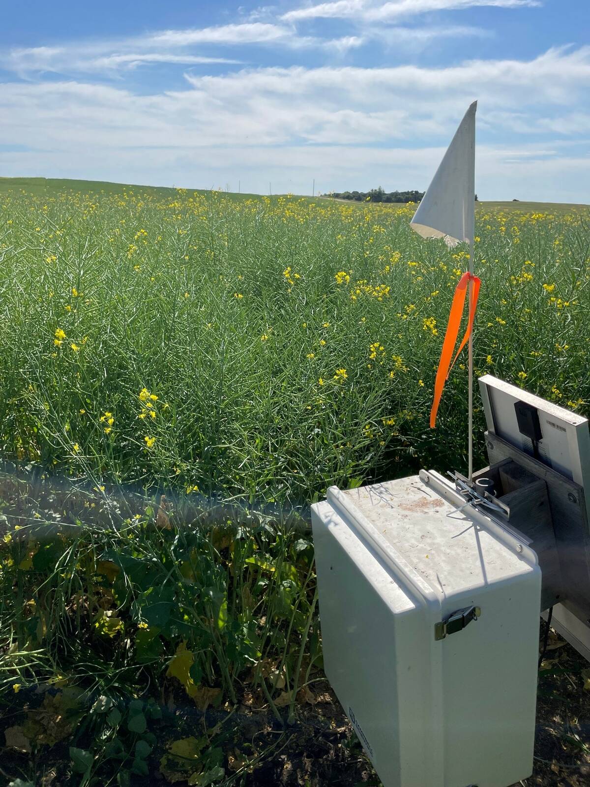 A Real-Time In-Situ Monitoring for Agriculture (RISMA) network field-based sensor monitoring station tracks soil moisture from the surface down to one metre, with readings taken every 15 minutes. 
Photo: Submitted