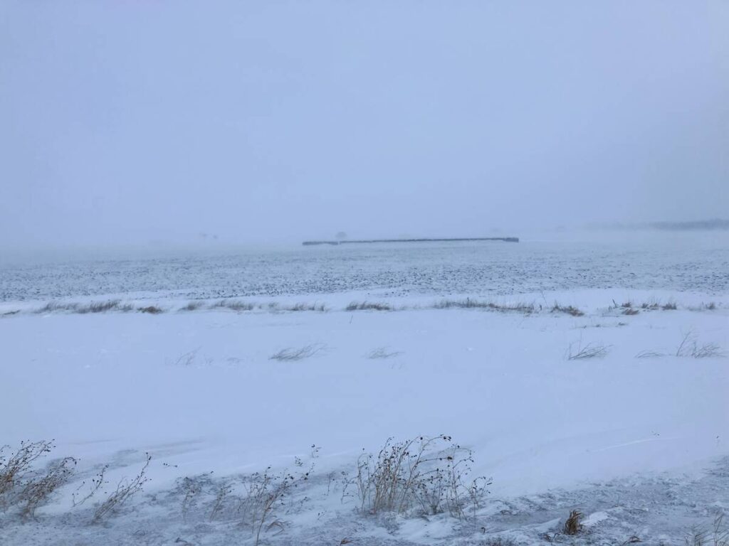 Blowing snow near Marquette, Manitoba, on January 22, 2026.