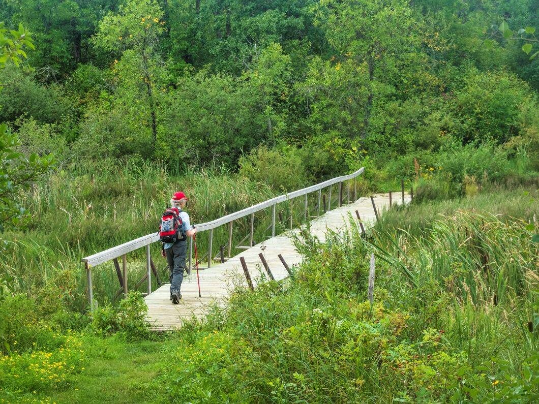 Turtle's Back hiking trail