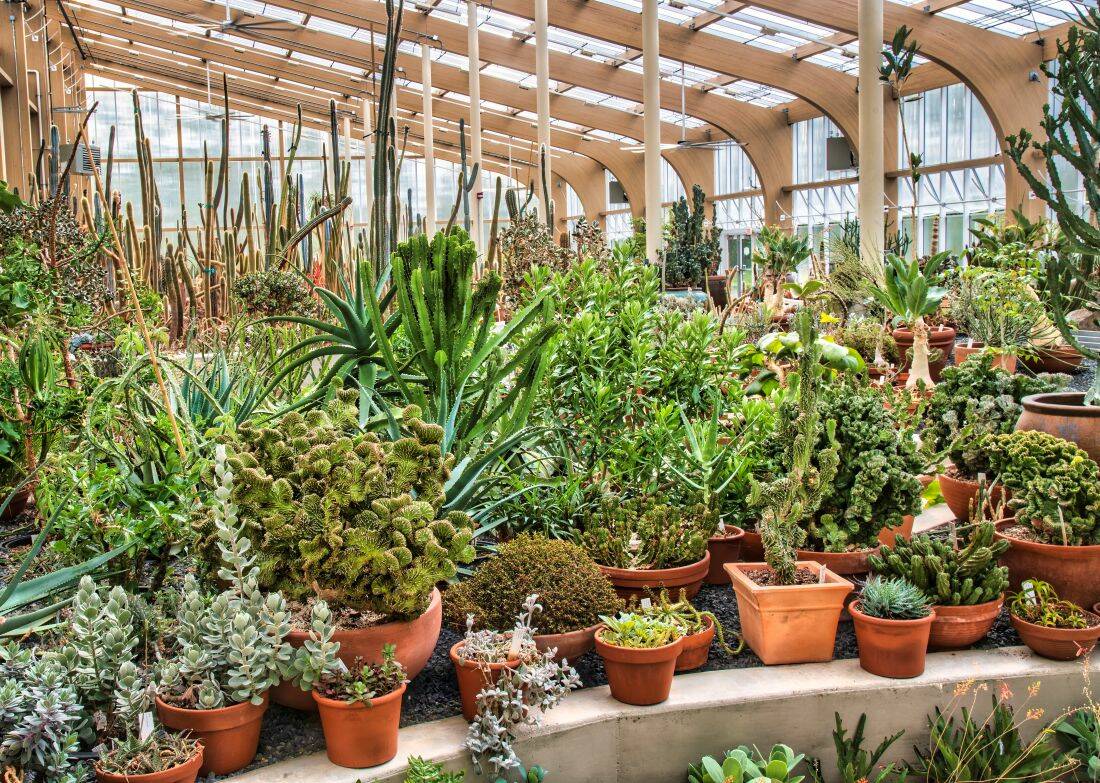 Conservatory at Peace Garden