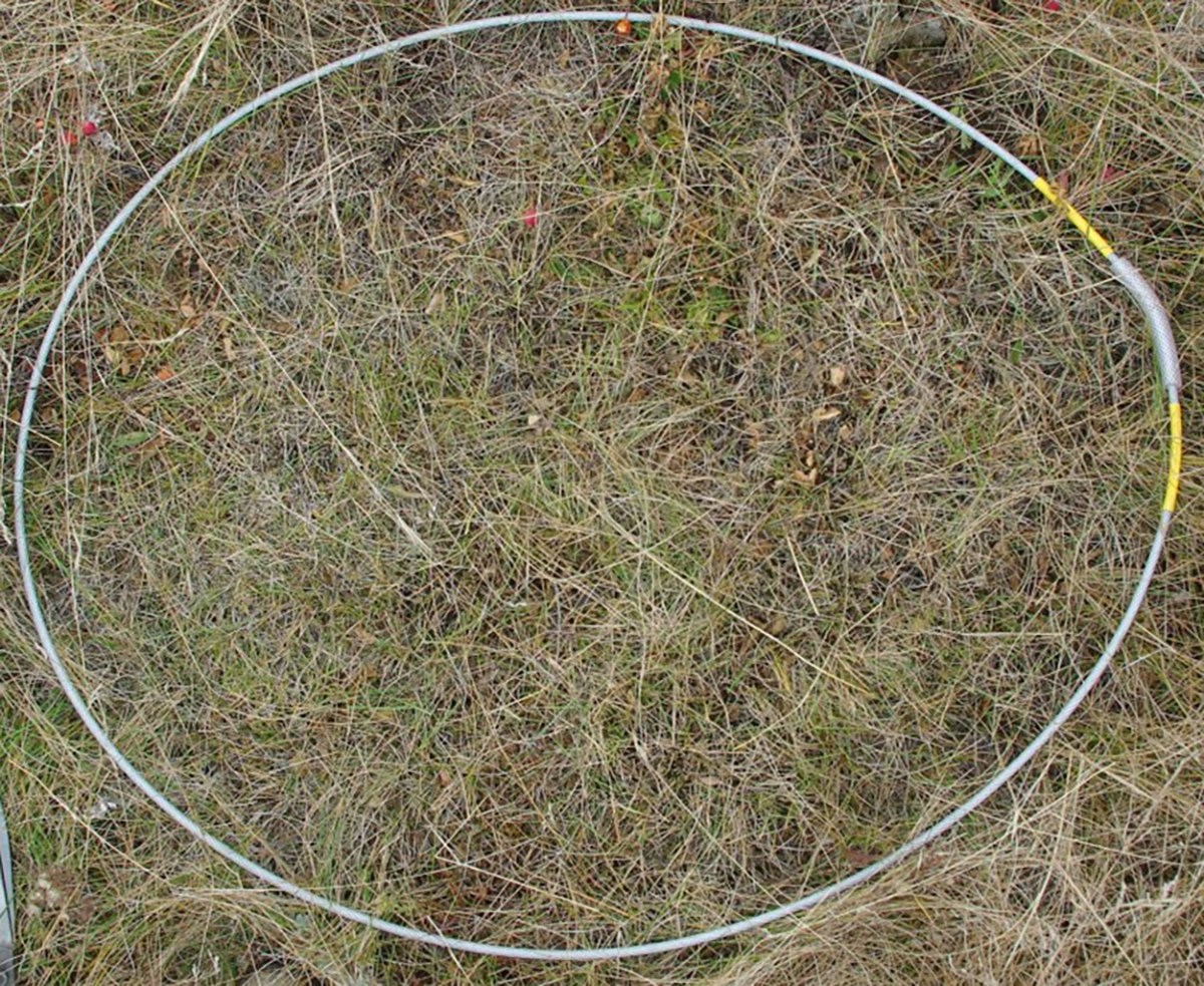 A hoop thrown on the ground in the midst of a forage crop showing less than 100 per cent canopy cover and intermediate litter.