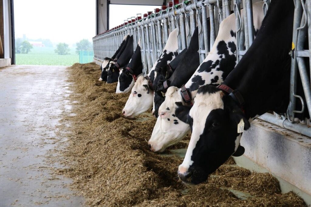 Zoetis to acquire Neogen Corp. genomics business