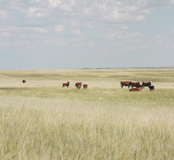 Conservation easements with limits have appeal