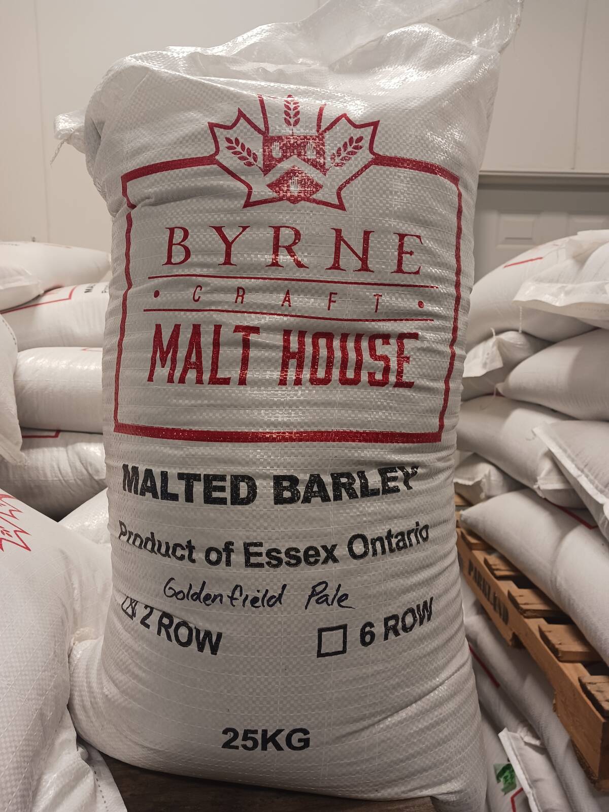 Byrne produces pale barley malt – the base malt used in most beer. Photo: Matt McIntosh 