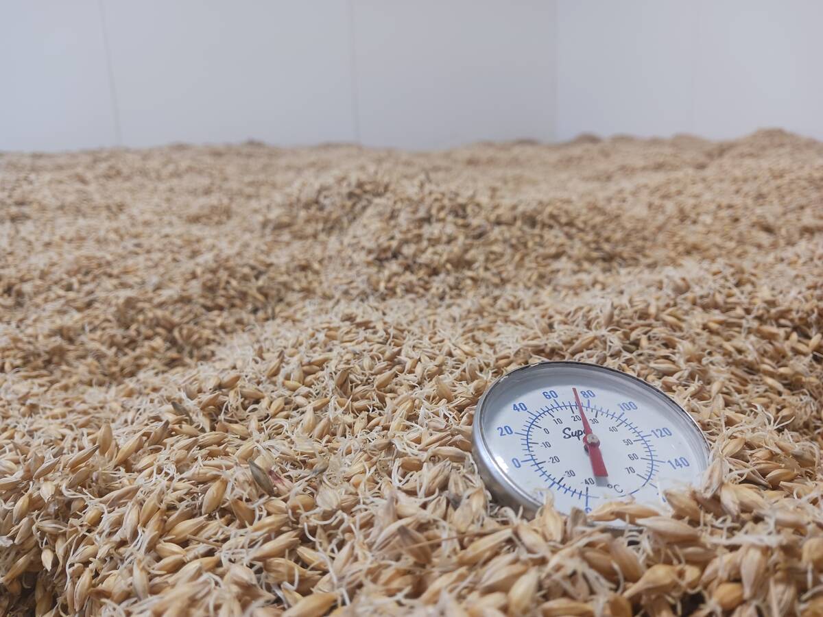 The Byrne family’s floor malting room. 
Photo: Matt McIntosh 