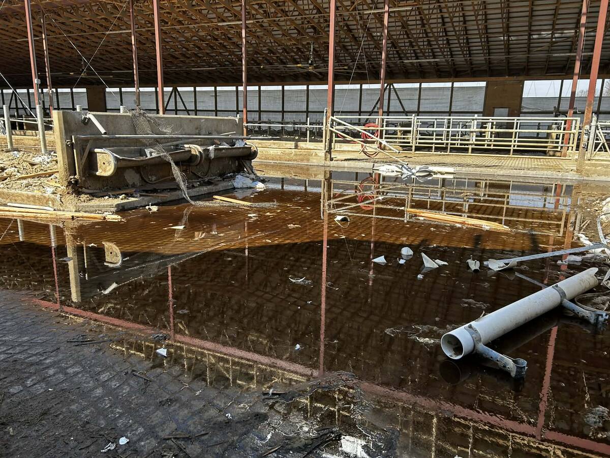 The aftermath of a dairy barn collapse with clean-up well underway.