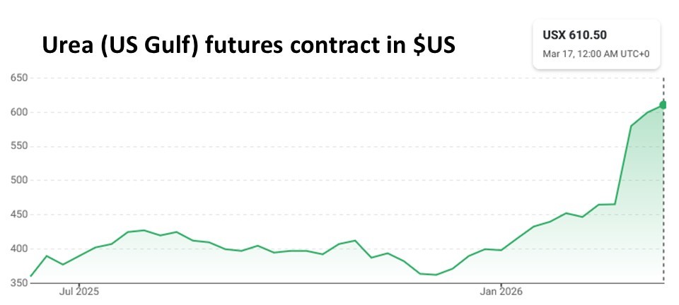 AM Market Report – March 18, 2026