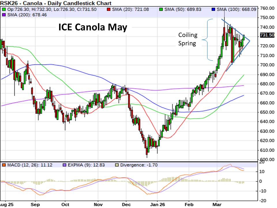 AM Market Report – March 26, 2026