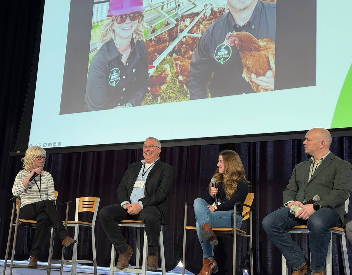 A panel of people involved in Agrivoltaics talks about managing grazing on solar farms. Photo: John Greig