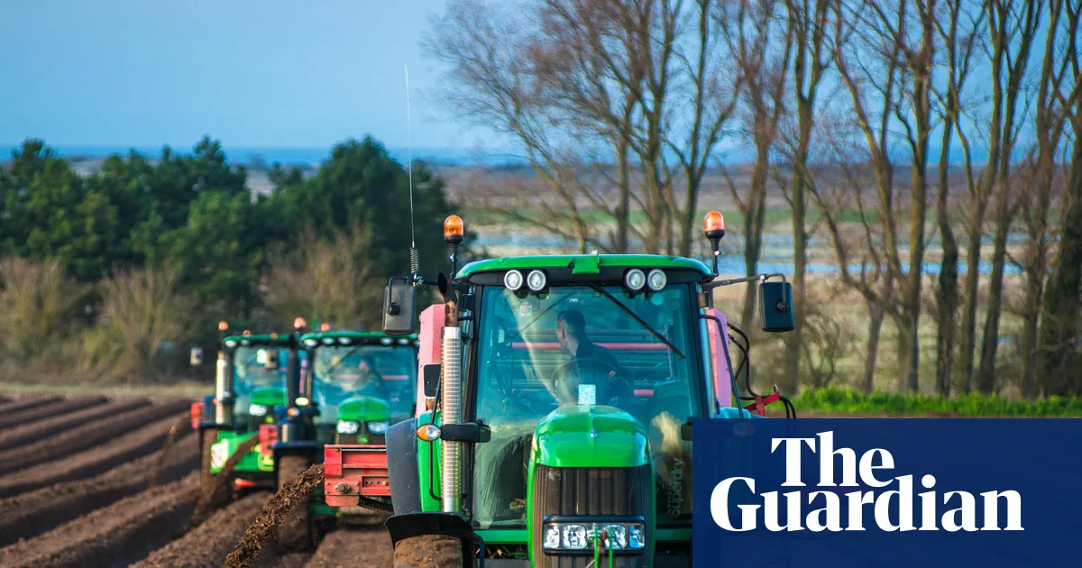 Global food supplies could be badly hit if Iran war drags on, says fertiliser boss | US-Israel war on Iran