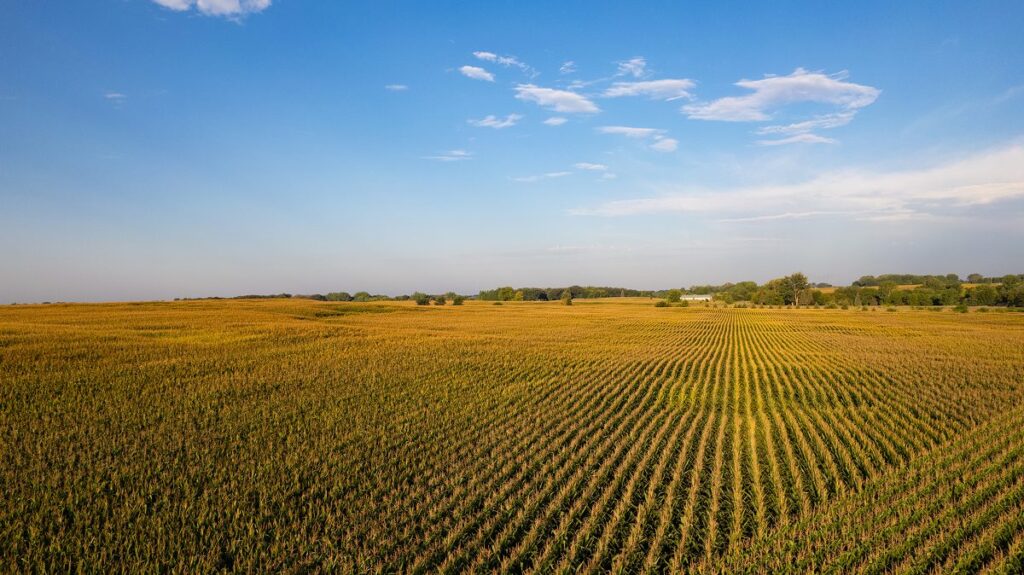 Global food system resilience gaps exposed in new Economist Impact index