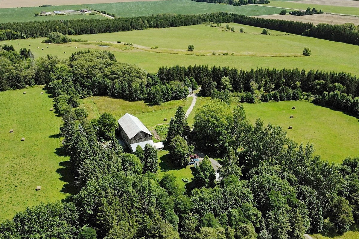 An aerial view of a lush green farmyard surrounded by trees.
