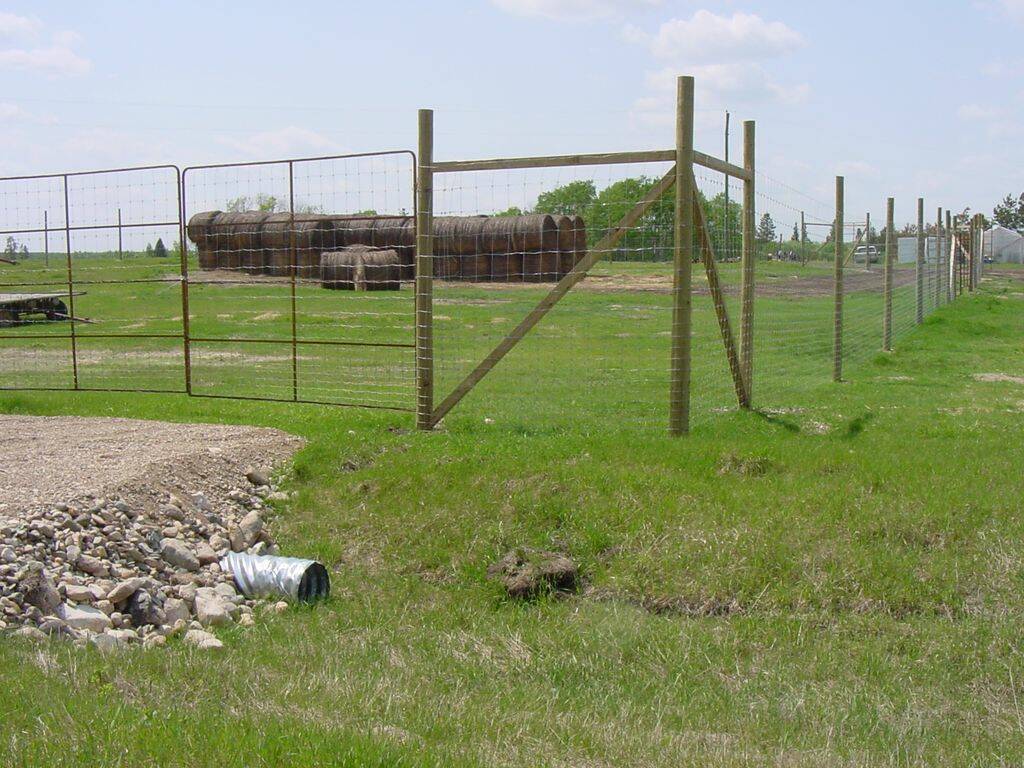 A photo of a tall fence made with page wire to keep elk away from stacked bales in summer.