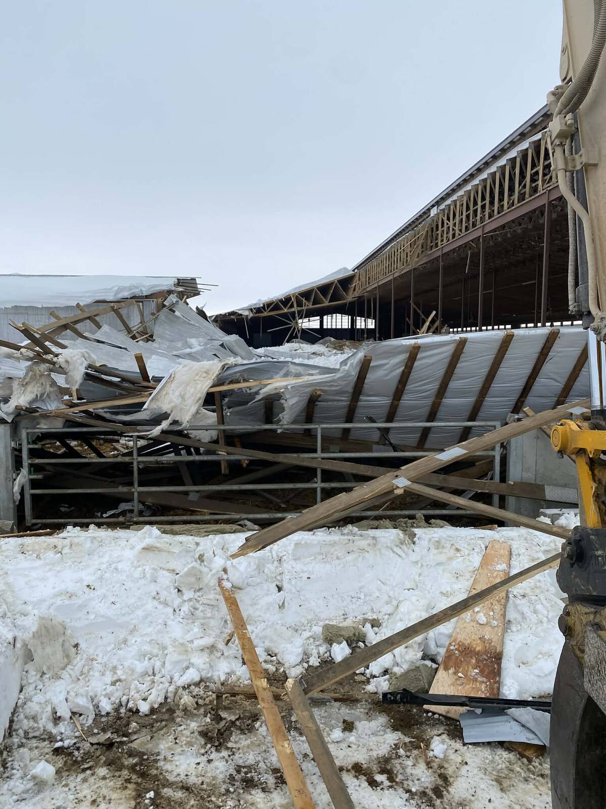 A close-up photo of a dairy barn whose roof has collapsed.