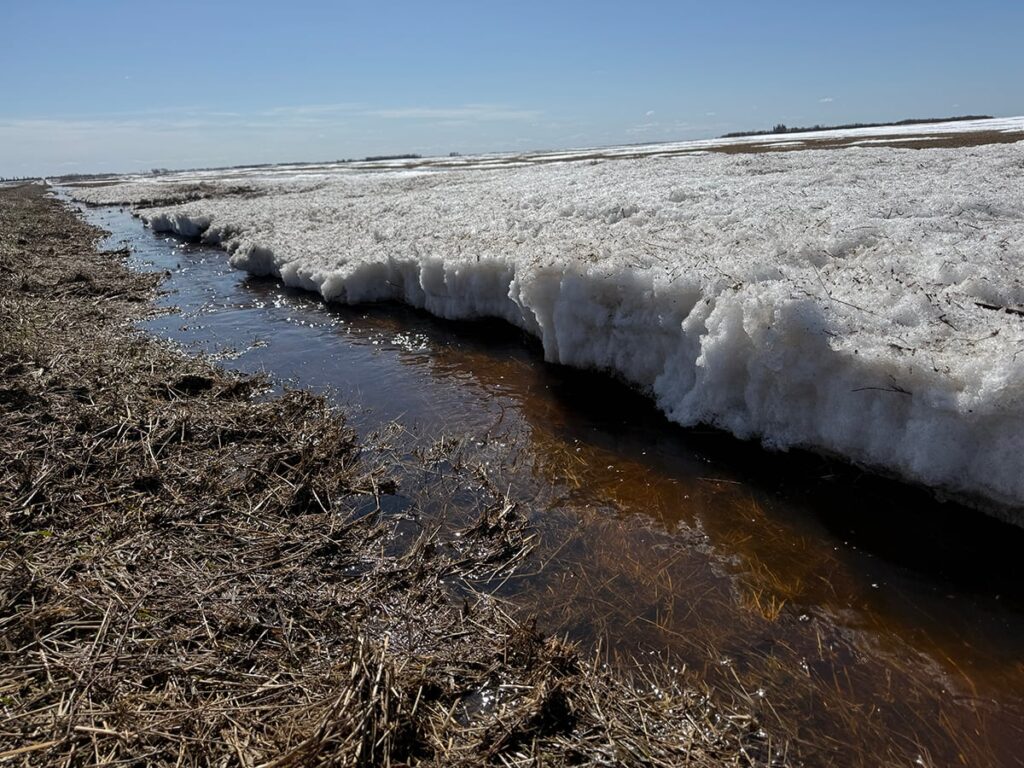 Water runs in a ditch next to some melting snow on a sunny day.