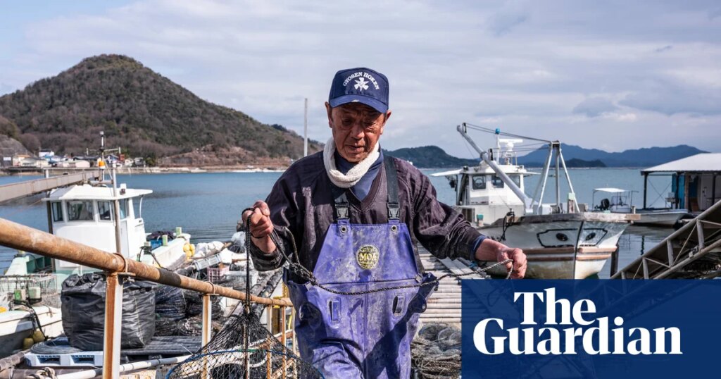 ‘Something out of the ordinary’: why are Japan’s oysters dying en masse? | Oysters