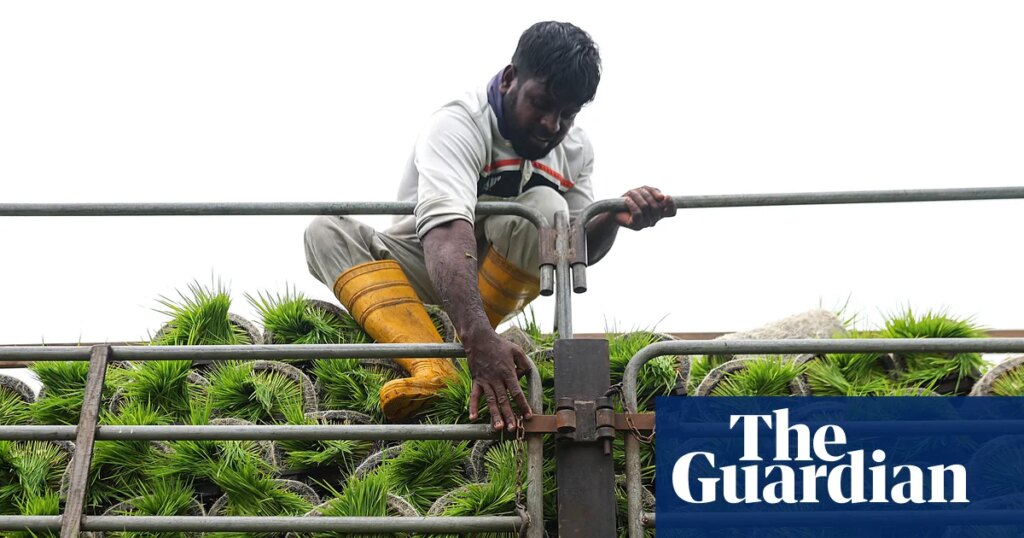 George Monbiot on our fragile food system – podcast | Food