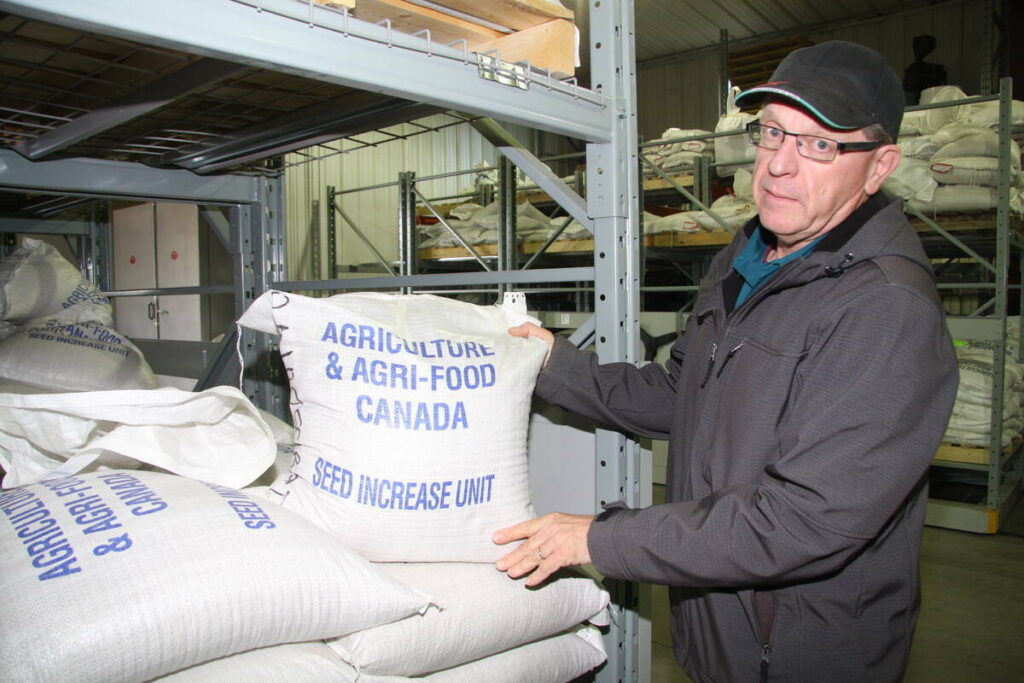 David Gehl Indian Head Research Farm Seed Increase Unit
