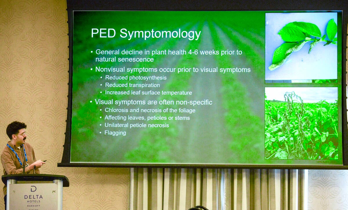 Griffin Bailey, Little Potato Company's regional agronomist for Eastern Canada, presents the results of his 2021 to 2023 Ontario research on Potato Early Dying (PED) complex and potential management practices to minimize its impact on potato yields for commercial growers during the Ontario Potato Conference in Guelph on March 5, 2026. Photo: Diana Martin
