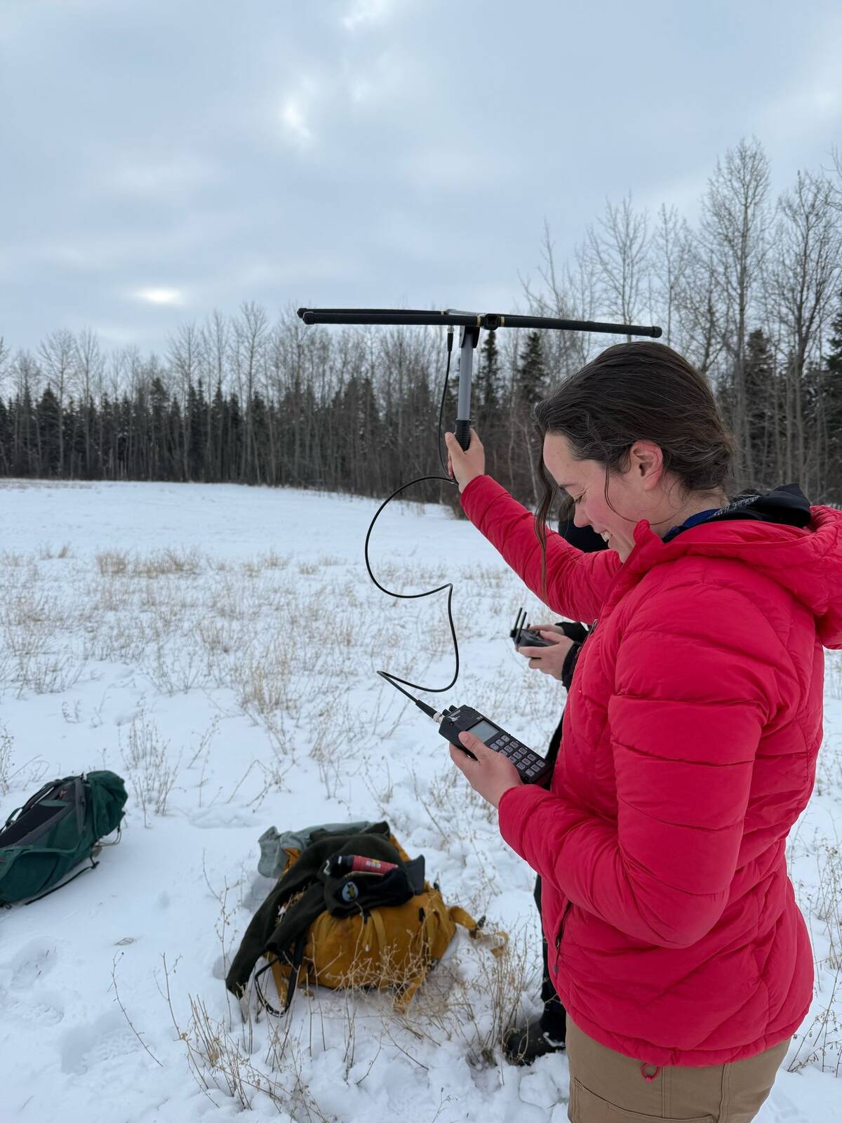 A woman in a red down coat holds up a T-shaped antenna in a snow-covered clearing surrounded by trees.