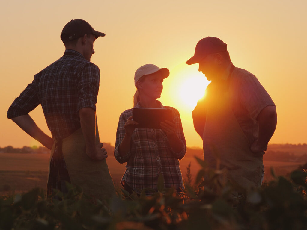 A group of farmers are discussing in the field, using a tablet. Two men and one woman.