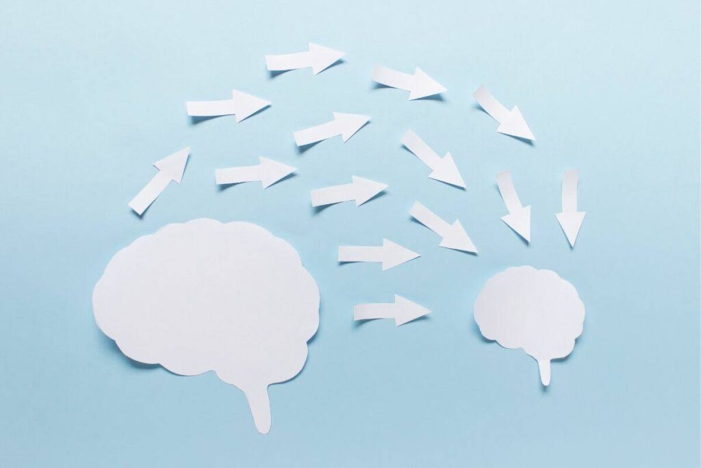 Paper cutouts of two brain shapes, one large and one small, with paper cutout arrows pointing from large brain to small brain.